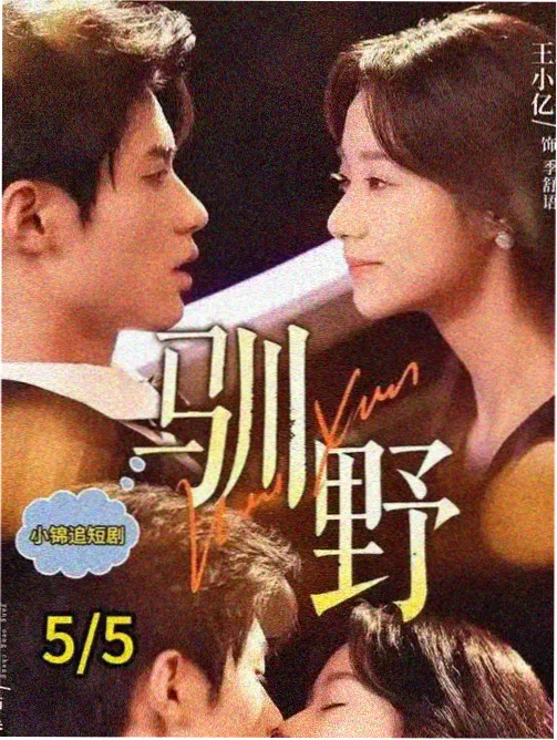 青瓦巷的四季封面